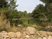 Enlarge photo 63