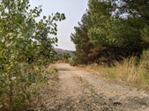 Enlarge photo 64