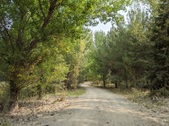 Enlarge photo 65