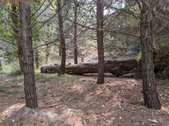 Enlarge photo 66