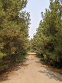 Enlarge photo 68