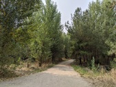 Enlarge photo 69