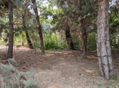Enlarge photo 70