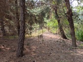 Enlarge photo 71