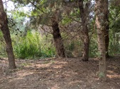Enlarge photo 72