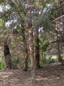 Enlarge photo 73
