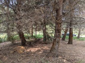 Enlarge photo 74