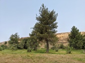 Enlarge photo 1