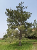 Enlarge photo 14