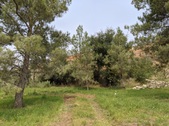 Enlarge photo 15