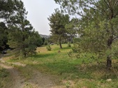 Enlarge photo 25