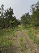 Enlarge photo 28