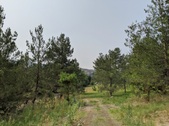 Enlarge photo 29