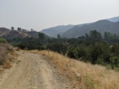 Enlarge photo 35