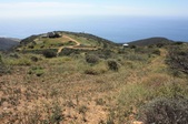 Enlarge photo 39