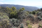 Enlarge photo 41