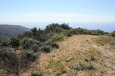 Enlarge photo 43
