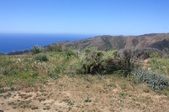Enlarge photo 42