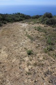 Enlarge photo 49