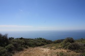 Enlarge photo 46