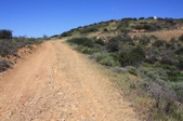 Enlarge photo 48
