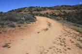 Enlarge photo 54