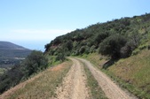 Enlarge photo 57