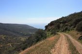 Enlarge photo 56