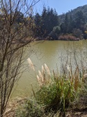 Franklin Canyon
