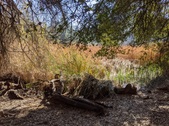 Enlarge photo 18