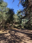 Enlarge photo 24