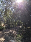 Enlarge photo 25
