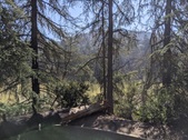 Enlarge photo 31