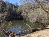 Enlarge photo 32