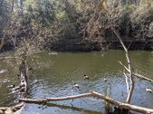 Enlarge photo 33