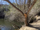 Enlarge photo 34