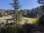 Enlarge photo 35