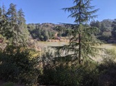 Enlarge photo 36