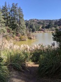 Enlarge photo 37