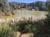 Enlarge photo 38