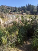 Enlarge photo 39