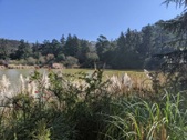 Enlarge photo 40