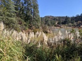 Enlarge photo 41