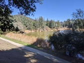 Enlarge photo 43