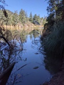 Enlarge photo 44