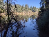 Enlarge photo 45