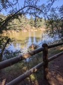 Enlarge photo 47