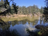 Enlarge photo 48