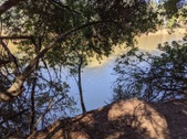Enlarge photo 49