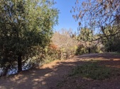 Enlarge photo 51